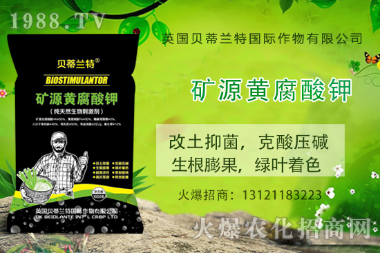 ���ÿ���ô�B(y��ng)�����ÿ��B(y��ng)ֳ������ע�����(xi��ng)��