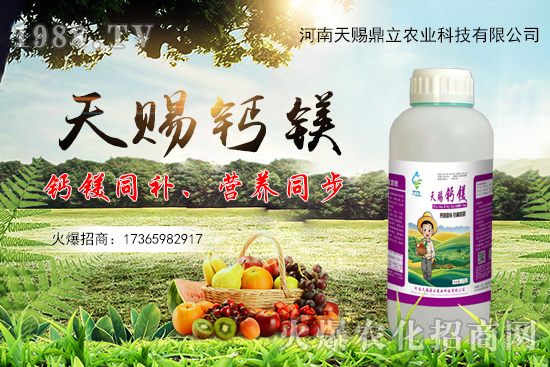 ���n������ʲô��(y��u)�������n�������Ʈa(ch��n)Ʒ����Щ��