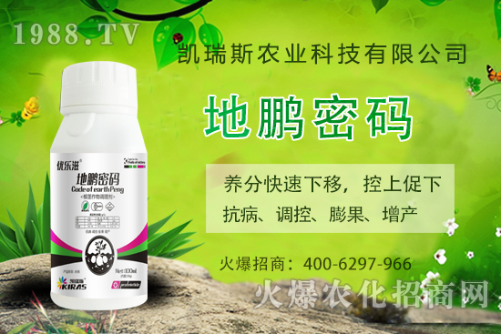 �P��˹�r(n��ng)�I(y��)��ô�����P��˹�r(n��ng)�I(y��)����a(ch��n)Ʒ����Щ��