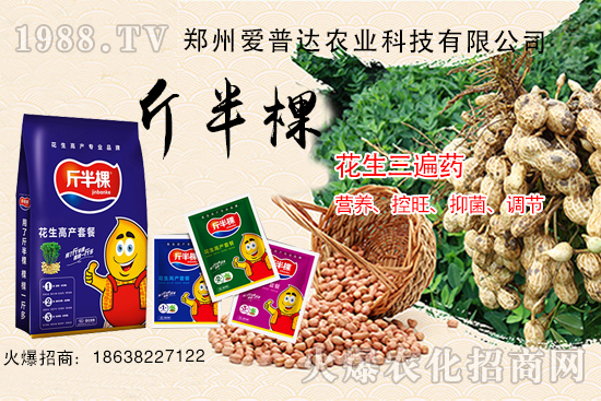 花生三遍藥什么時(shí)期使用？花生三遍藥有哪些作用？