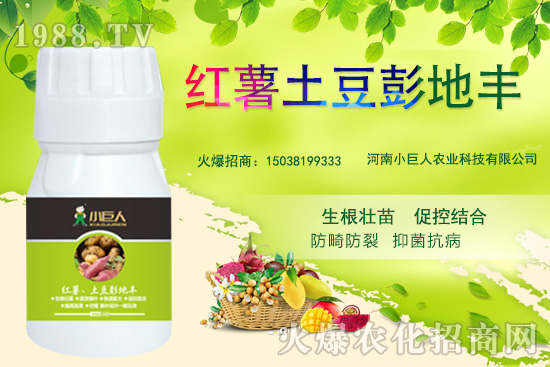 ����С������ô������˾��ʲô��(y��u)�������Ʈa(ch��n)Ʒ����Щ��