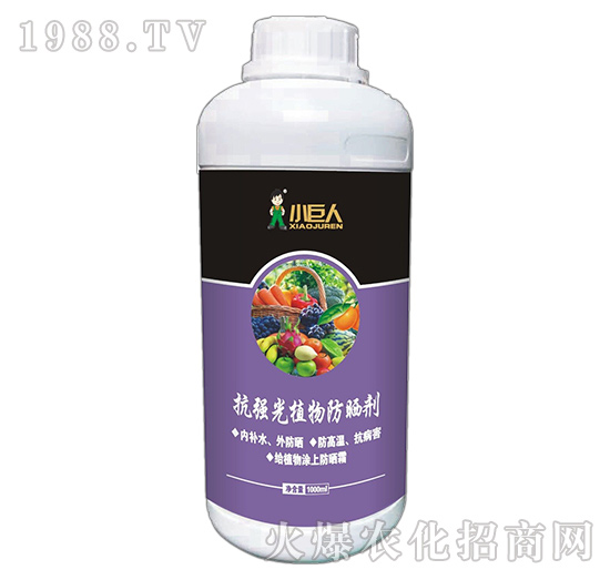 ����С������ô�ӣ���˾��ʲô��(y��u)�������Ʈa(ch��n)Ʒ����Щ��