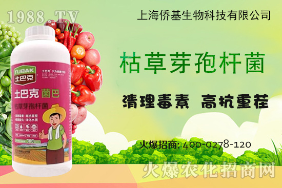 �Ϻ��S�������Ϳˡ�-��ע�����������غ������ޏ�(f��)15����