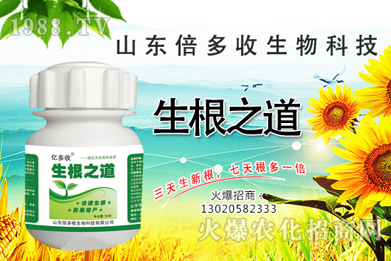 �����ϵ��a������������֮���������¸����������a�o�n��