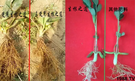 �����ϵ��a������������֮���������¸����������a�o�n��