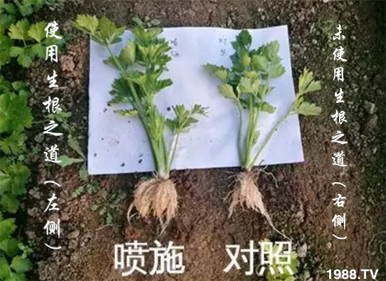 �����ϵ�����a������������֮���������¸����������a�o�n��