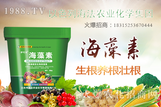 �����r�I(y��)��ɶ�@ôţ�������r�I(y��)���a��ɫ��ʲô��������Щ�aƷ��