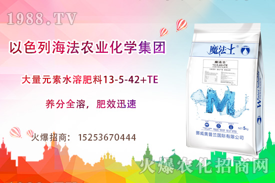 �����r�I(y��)��ɶ�@ôţ�������r�I(y��)���a��ɫ��ʲô��������Щ�aƷ��