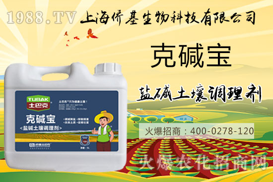 �����}�AΣ���������ˉA���������}�A��߀��һƬ������