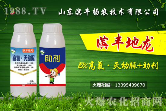 黑頭蛆、地蛆、根蛆如何有效防治？“15%高氯·滅幼脲+助劑”殺蛆雙保險(xiǎn)！	
