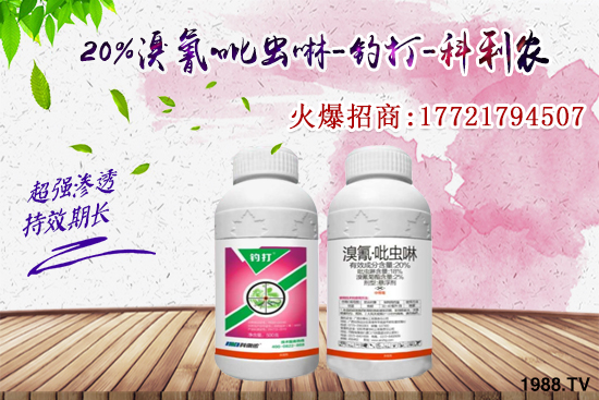 �������x���l(f��)̫���������x��ô��Ч���������x���η�������Щ��