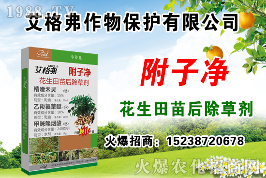 �������݄�