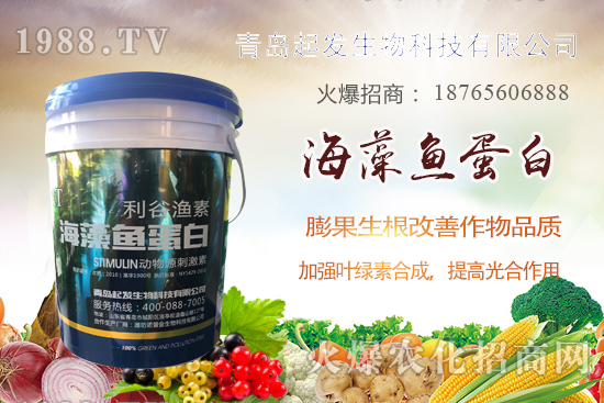 �߲˶�ֲ��ξ���죿�߲������`�^(q��)����Щ���߲�������������]��