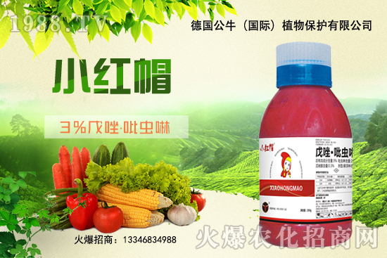 С����N�����a��С����N����x�أ�С����NƷ���x����