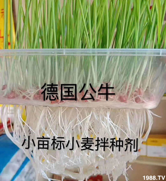 С����N�����a��С����N������x����С����N��Ʒ���x����