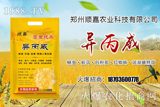 ��Ѹ�r(n��ng)��������һ�������������P���ϣ���˪�`+����������