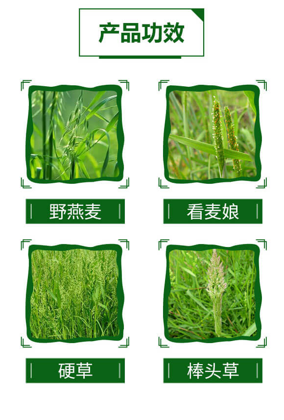 15%Ȳ����-�����Ѻ�_04