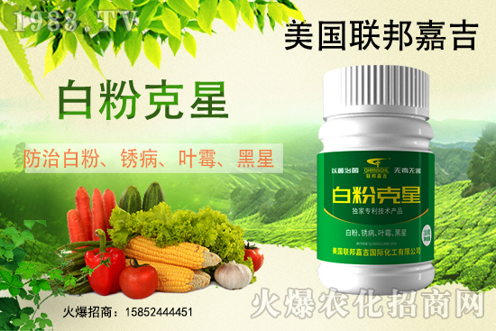 �׷۲���(qi��ng)�݁��u������(f��)�l(f��)������β���ô������׷۲������]��