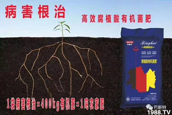     ���׌�Nֲ׃�ø��p����һ��(g��)�ײͣ�ȫ���䷽����˹�ش󽪠I(y��ng)�B(y��ng)�ײͷ�����