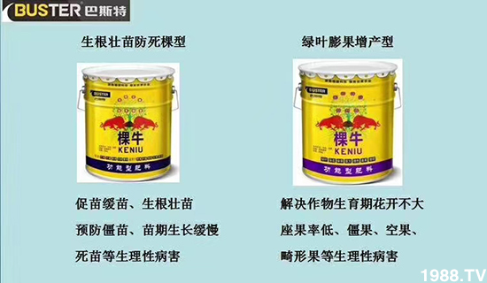     ���׌�Nֲ׃�ø��p����һ��(g��)�ײ���ȫ���䷽����˹�ش󽪠I(y��ng)�B(y��ng)�ײͷ�����