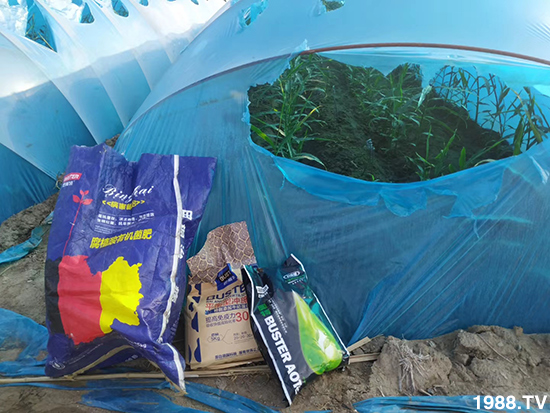     ���׌�Nֲ׃�ø��p����һ��(g��)�ײ���ȫ���䷽����˹�ش󽪠I(y��ng)�B(y��ng)�ײͷ�����