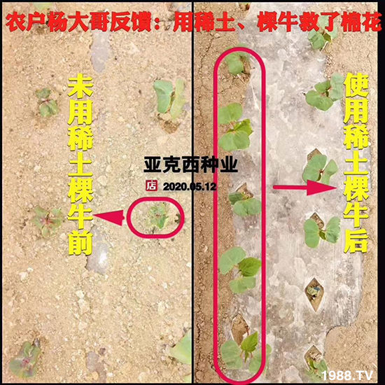     ���׌�Nֲ׃�ø��p����һ��(g��)�ײ���ȫ���䷽����˹�ش󽪠I(y��ng)�B(y��ng)�ײͷ�����