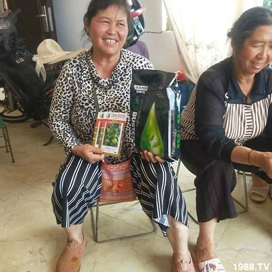     ���׌�Nֲ׃�ø��p����һ��(g��)�ײ���ȫ���䷽����˹�ش󽪠I(y��ng)�B(y��ng)�ײͷ�����