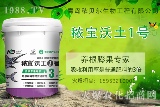 �����B(y��ng)������P(gu��n)�I�ڣ������B(y��ng)�����ԓʩʲô������