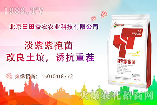 ���t��������c(di��n)����Щ�����t���ļ���ι�����