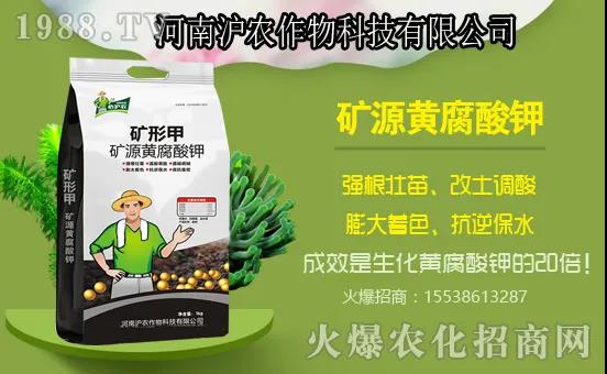 �Ϲ����L���Ďׂ��^�����Ϲ�ʩ��Ҫ�c����ʲô���Ϻ���