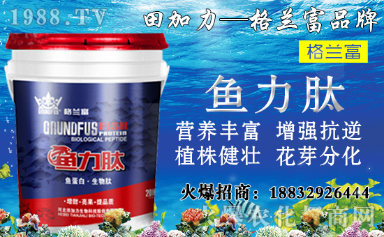 ���䌦�B(y��ng)���������c����Щ������ʩ���`�^(q��)�����_ʩ�ʷ�����