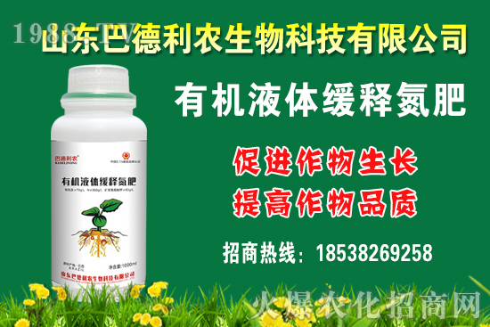 ���������Xһ�����Nֲǰ����������Nֲ�ɱ�������������