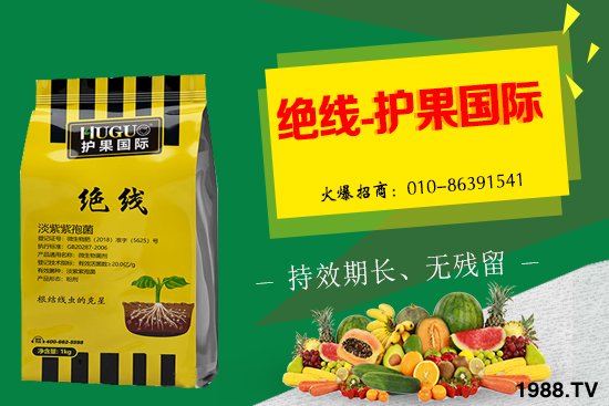 �޻���ʲôҪ�����������Щ��̎���޻�������g�������h��