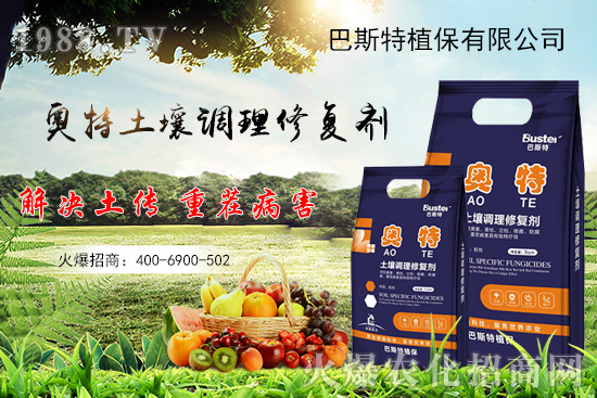 秋白菜怎么種植?秋白菜種植要點(diǎn)及苗期管理!