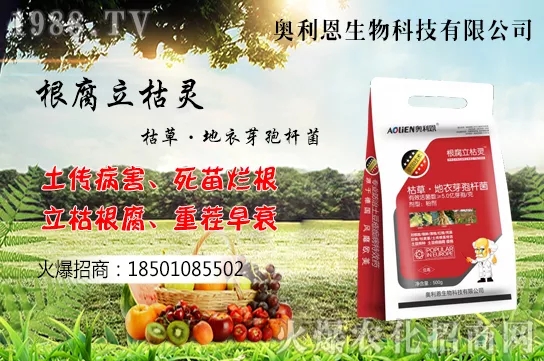 �S����ʲô����(ji��)�������S���˷Nֲ������B��