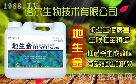 �S���˷N����ô�ɼ����S���˷N��r������Xһ����