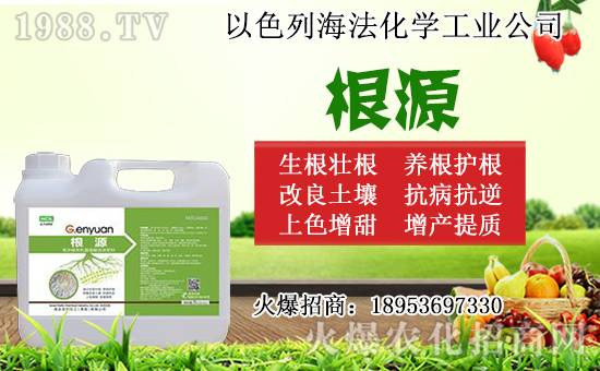 �o(w��)������ôǤ�壿�o(w��)����Ǥ��r(sh��)�g��Ǥ�己ֳ������