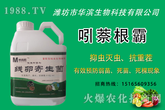 �o�����NֲʲôƷ�N�^�����o����Ƥ���ԳԆ᣿�Nֲǰ��������