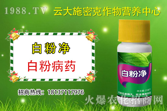 ʲô��ֲ��Դ�r(n��ng)ˎ��ֲ��Դ�r(n��ng)ˎ�c���W(xu��)�r(n��ng)ˎ�^(q��)�e������