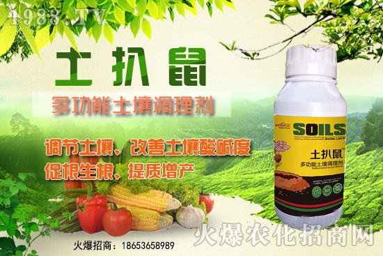 ������ʲô�r��Nֲ����������ô�x���Nֲ�����ô�㣿