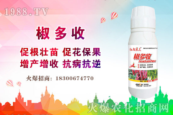 С���r������Xһ�2020�����С���r��߀���ϝq����