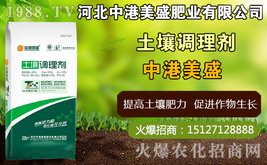 ��ˎ̫�Ӆ�ʲô�r�g�Nֲ��̫�Ӆ�ʲô�r���ի@���ã����Nֲ���g��