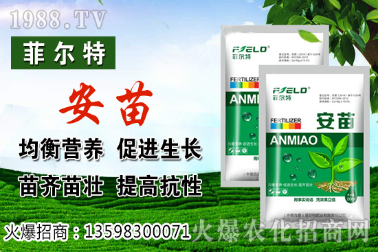 ���\�����L���h(hu��n)����Ҫ�������\���Nֲ�����ռ��g��