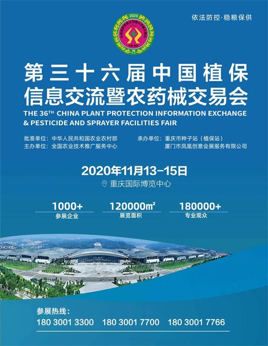 ȫ��ֲ���p����