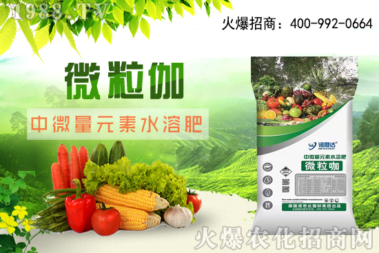 ����ԓ��ô��������������r(sh��)�g������ע��Ҫ�c(di��n)��