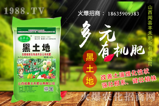 生姜如何選種，生姜什么時候種植？種植前需注意哪些問題？