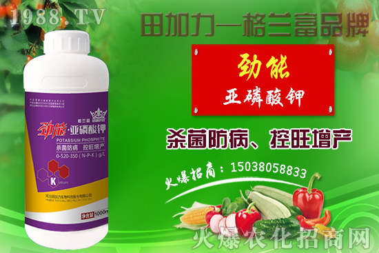 �޻������������ʩ�����޻�������Լ�ʩ��ԭ�t��