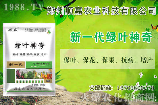 С���r(ji��)���B�B�ϝq���F(xi��n)��һ������X��