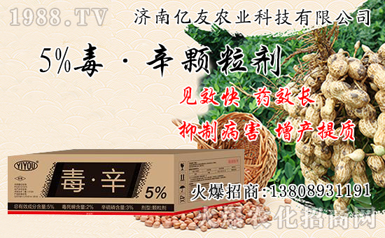 �������Ժʹ�����ʲô��ͬ���������԰˴��P�IҪ�c��