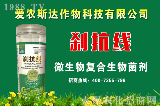 ���ռZ�r��2020��9��11��С���r�������A�y��